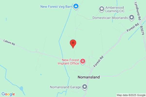 Nomansland & Hamptworth C Of E Primary School