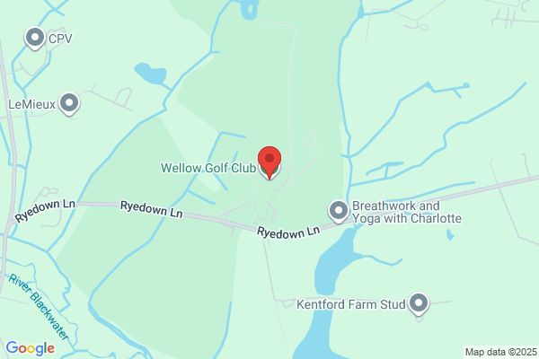 Wellow Golf Club Ltd