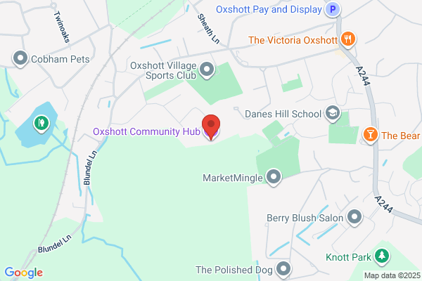 Surrey Community Development Trust