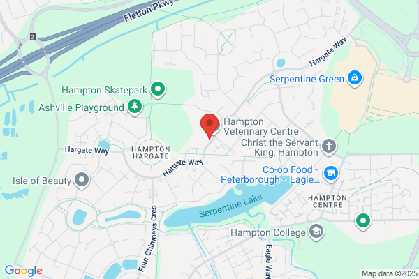 Hampton Court Dental Practice