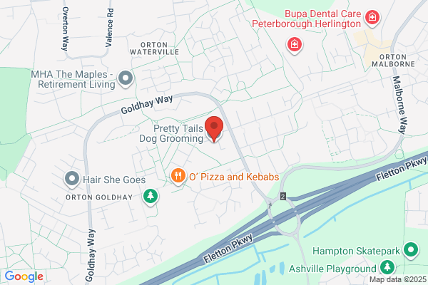 Tails & Trails Dog Grooming & Walking