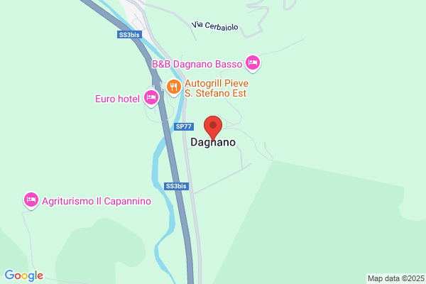 D'agnano's