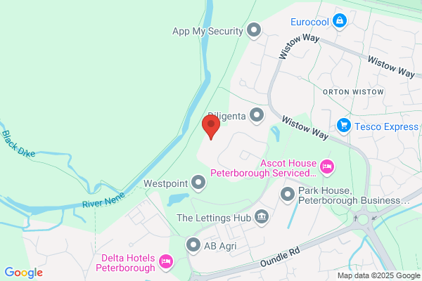 Descartes Consulting Ltd