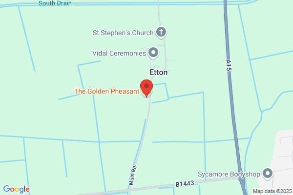 The Golden Pheasant
