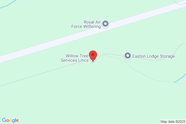 Willow Tree Services