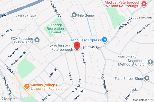 Vets4Pets - Peterborough