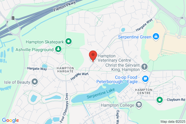 Hampton Veterinary Centre