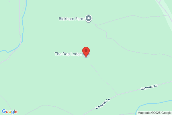 The Dog Lodge