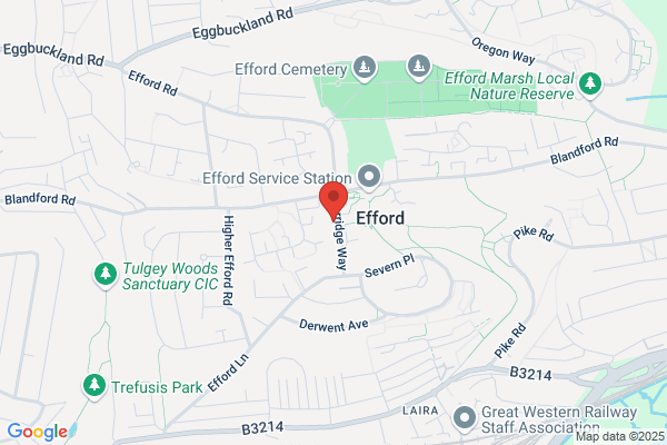 Efford Library