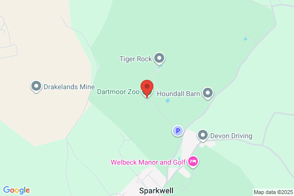 Dartmoor Wildlife Park