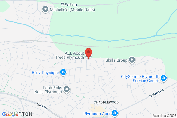 Allern Tree Services
