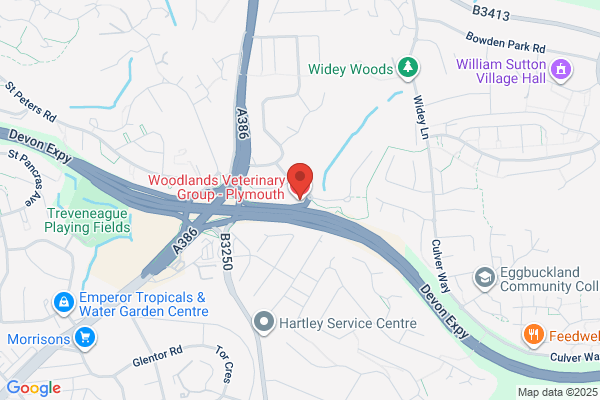 Woodlands Veterinary Group - Plymouth