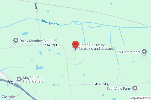 Barnfield Luxury boarding and daycare for dogs