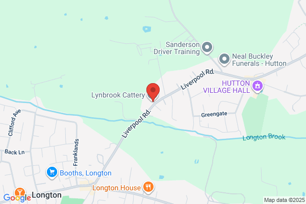 Summerheath Cattery