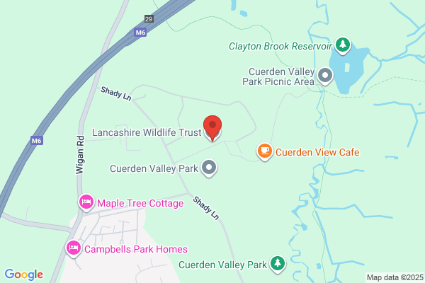 The Wildlife Trust For Lancashire Manchester & North Mersey