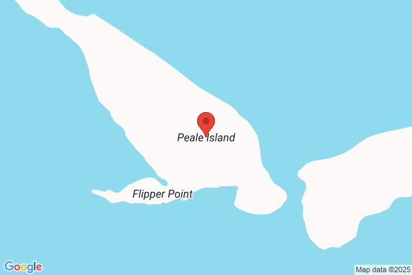 P & J A Isles
