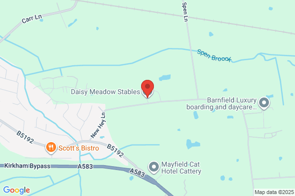 Daisy Meadow Farm