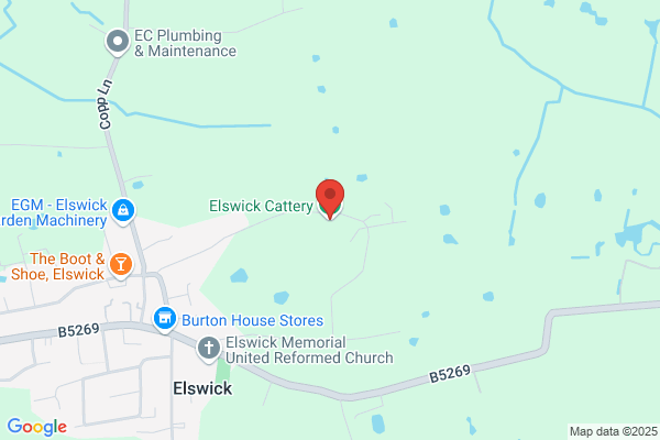Elswick Equestrian Centre