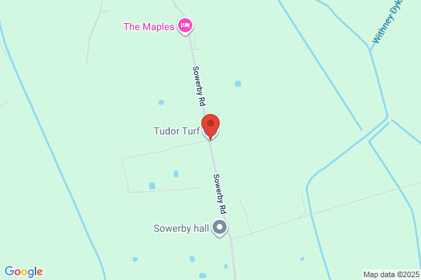 Tudor Turf
