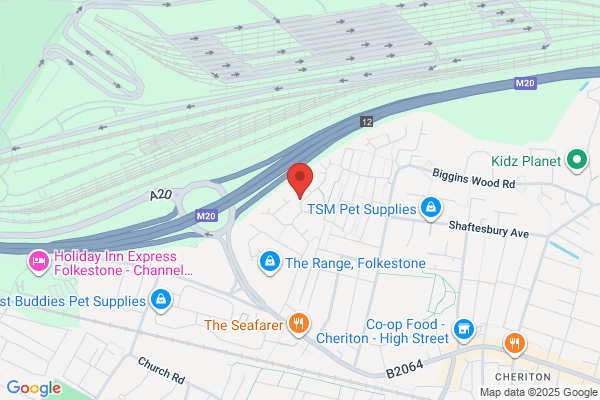 Cinque Port Freight Services Ltd