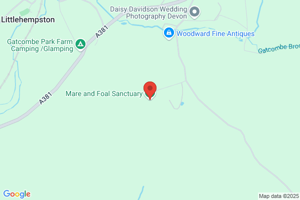 The Mare & Foal Sanctuary
