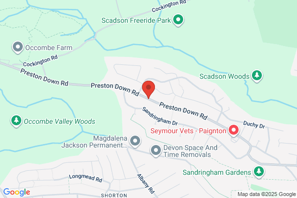 Occombe House For Adults With Learning Difficulties