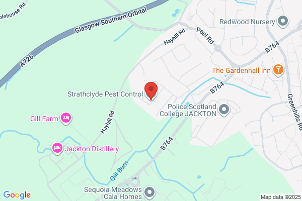 Strathclyde Pest Services