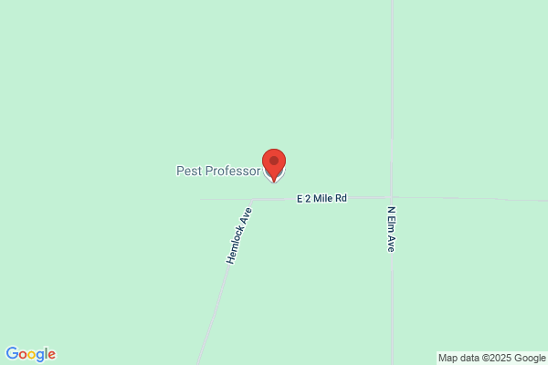 The Pest Professor (Ltd.)