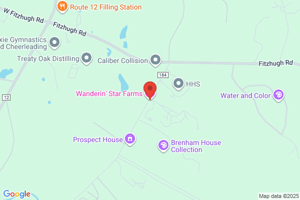 Wanderin' Star Entertainment