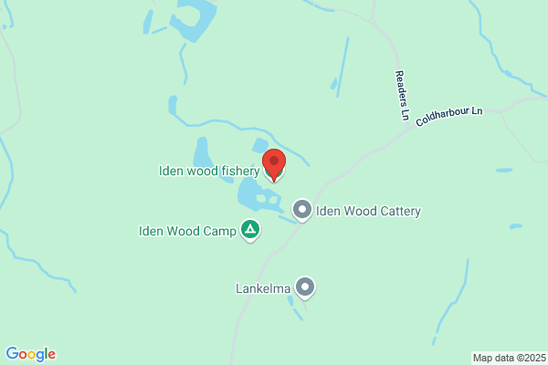 Iden Wood Fishery