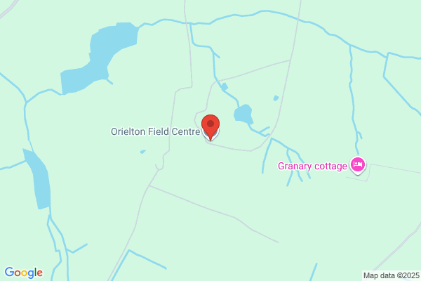 Orielton C P School