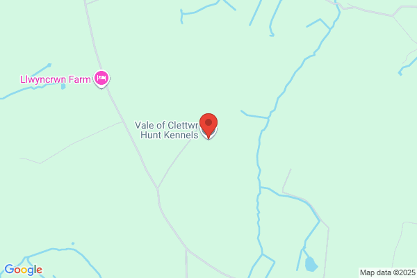 Vale Of Clettwr Hunt