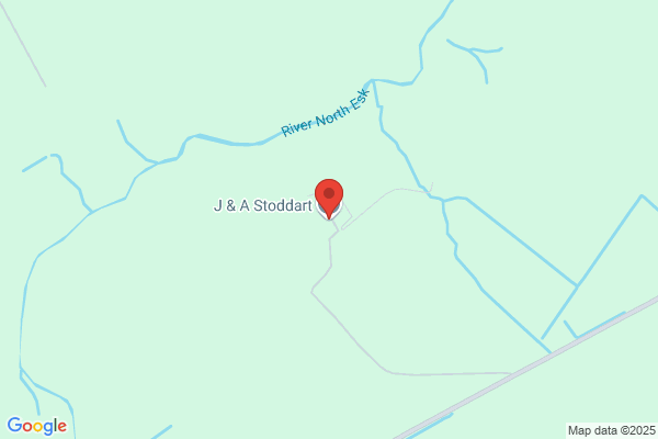A A Stoddart
