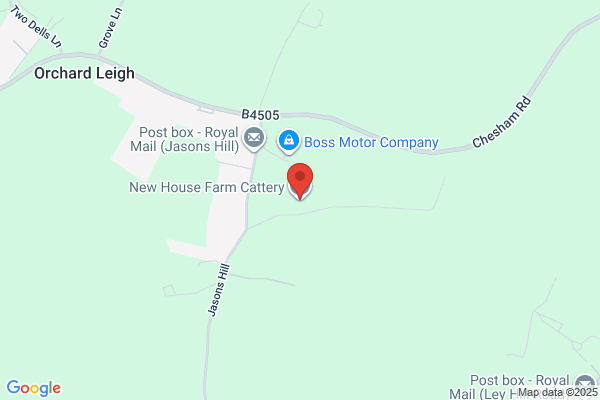 Ryan Hill Cattery