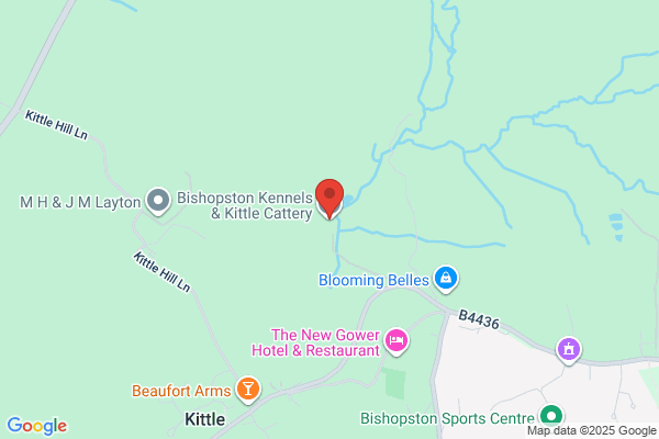 Bishopston Boarding Kennels