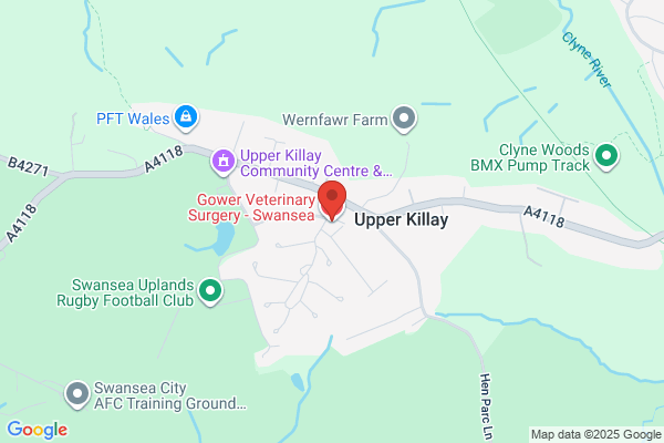 Gower Veterinary Surgery