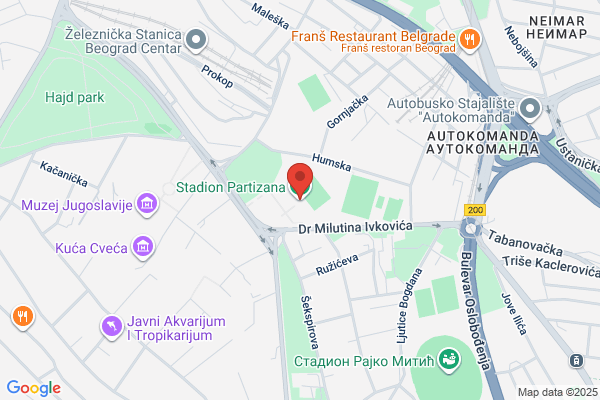Partizan