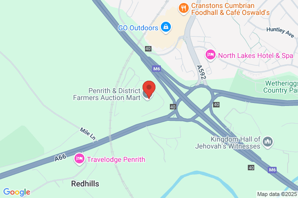 A Robinson