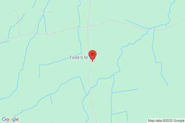 S M Todd