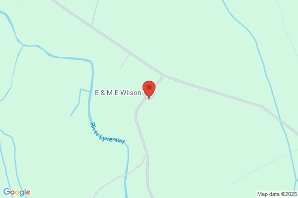 S M Wilson