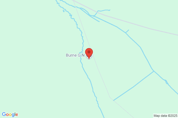 G N Burne