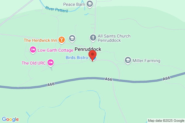 Birds' Bistro