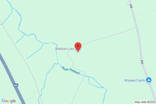 Les Watson