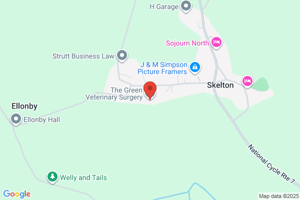 The Green Veterinary Surgery