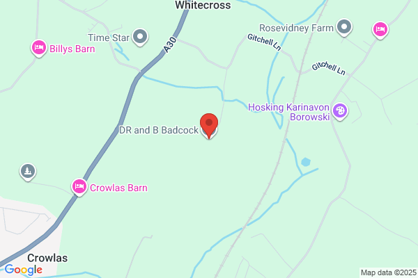 W Badcock