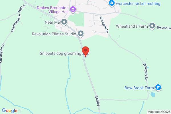 Vale Dog Grooming