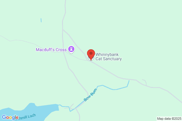 Tayside Cat Shelter
