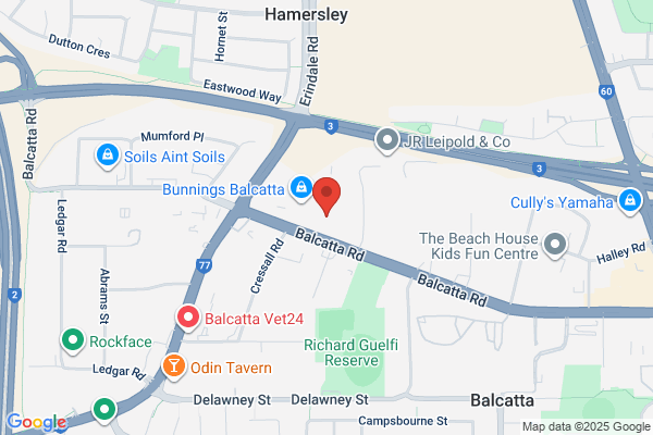Food Services