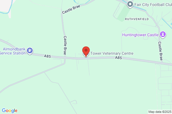 Tower Veterinary Hospital