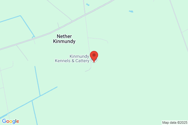 Kinmundy Kennels & Cattery